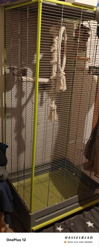Kooi, Dieren en Toebehoren, Vogels | Hokken en Kooien, Zo goed als nieuw, Ophalen