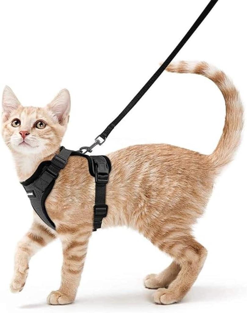 Harnas voor katten kleine honden | Zwart | Nieuw, Robbicgoo, -, Verzenden, -