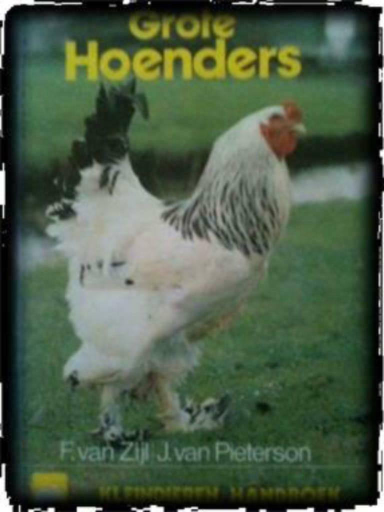 Grote hoenders, F.Van Zijl J.van Pieterson, Boeken, Dieren en Huisdieren, Gelezen, Pluimvee, Ophalen of Verzenden