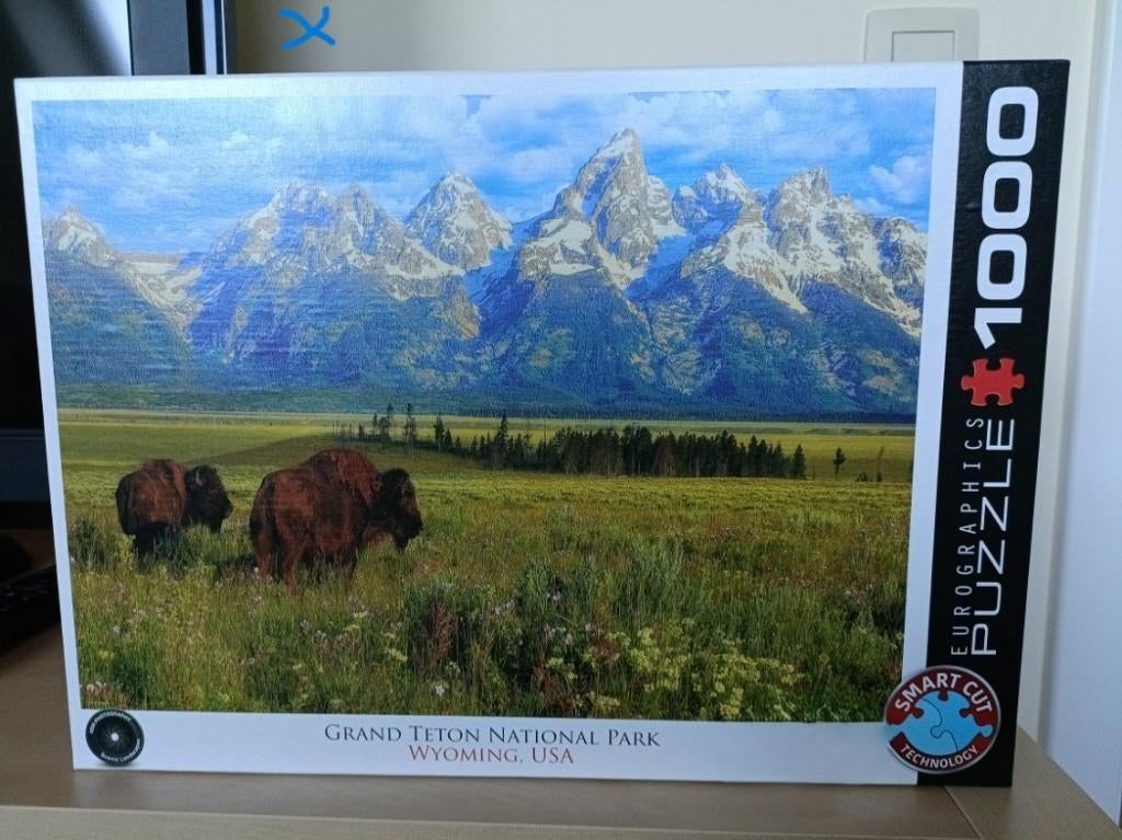 Puzzel Eurographics 1000 stukjes, Ophalen of Verzenden, 500 t/m 1500 stukjes, Zo goed als nieuw, Legpuzzel