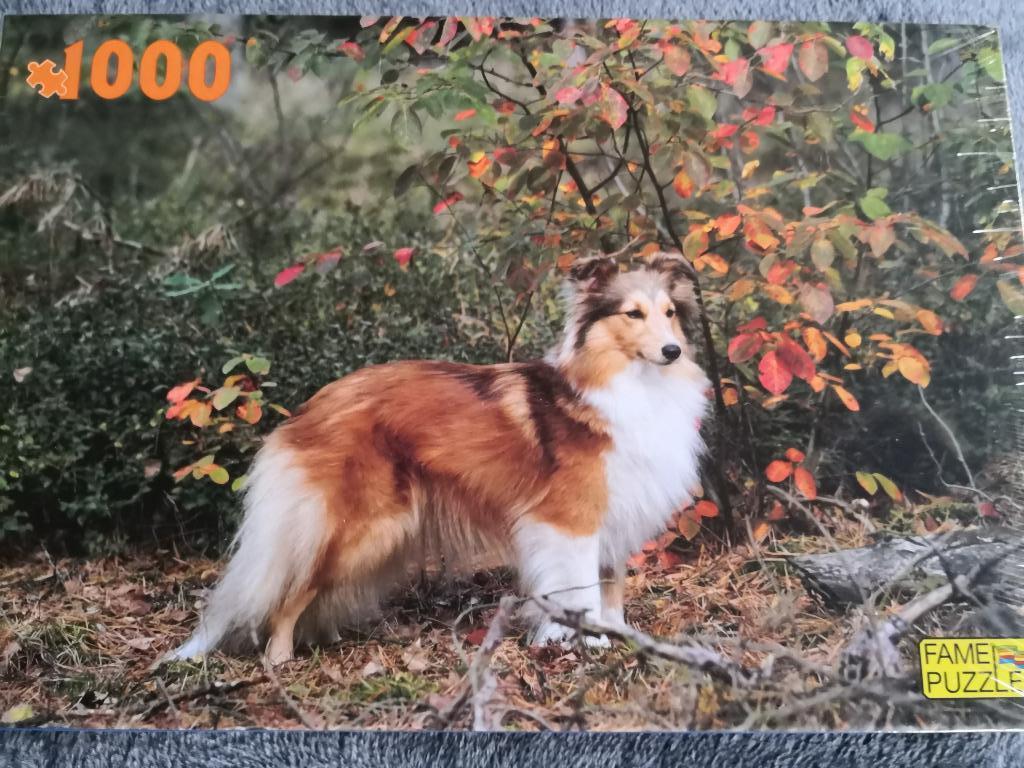 1000-delige nieuwe hondenpuzzel, Ophalen