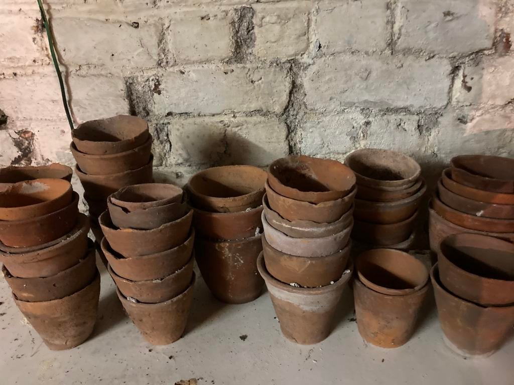 Pots en terre cuite, Enlèvement, Utilisé, Intérieur, Terracotta