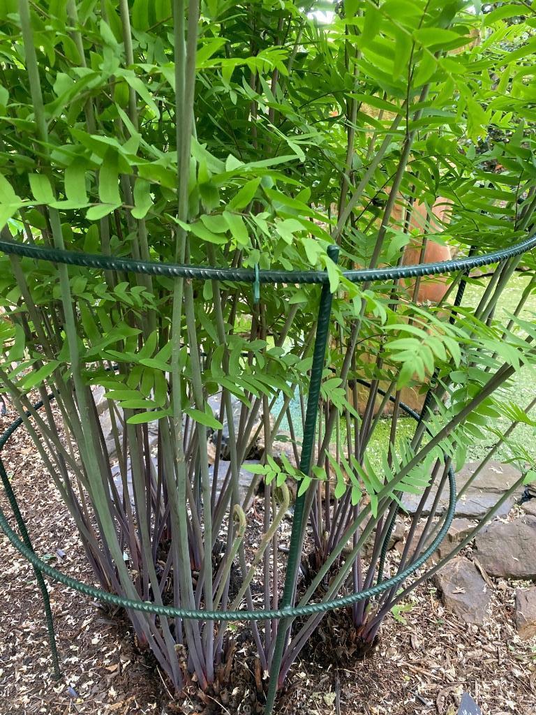 Plantkorven in poederlak, Tuin en Terras, Ophalen, Zo goed als nieuw, IJzer, Overige typen