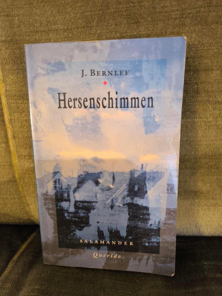Hersenschimmen.      (J. Bernlef), Boeken, Ophalen, Zo goed als nieuw, J. Bernlef