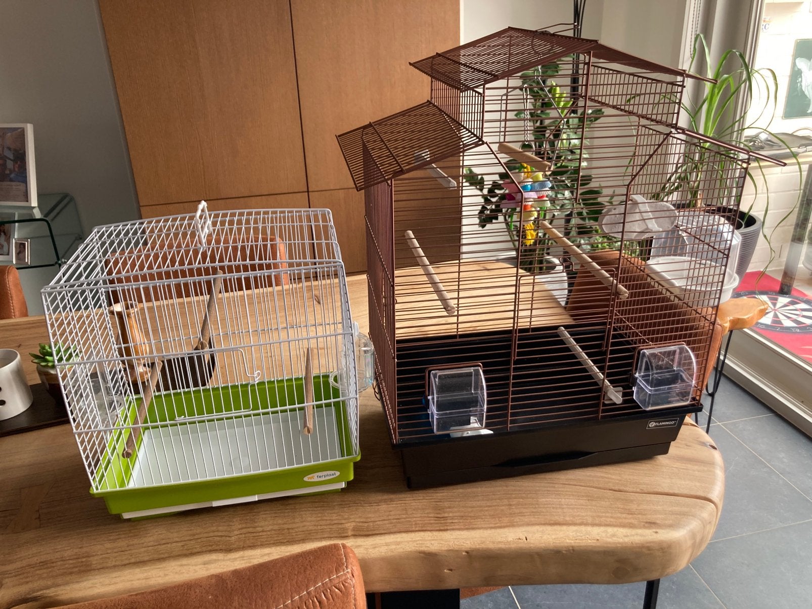 Twee vogelkooien, Enlèvement, Neuf
