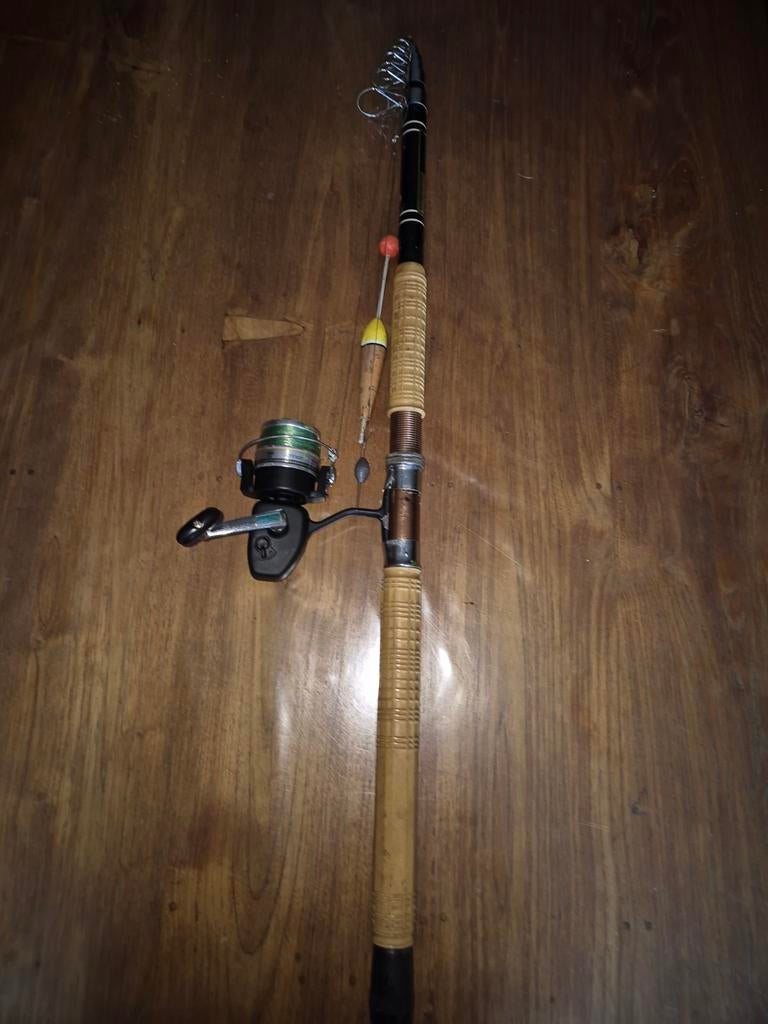 Canne à sandre à brochet, Enlèvement ou Envoi, Moulinet