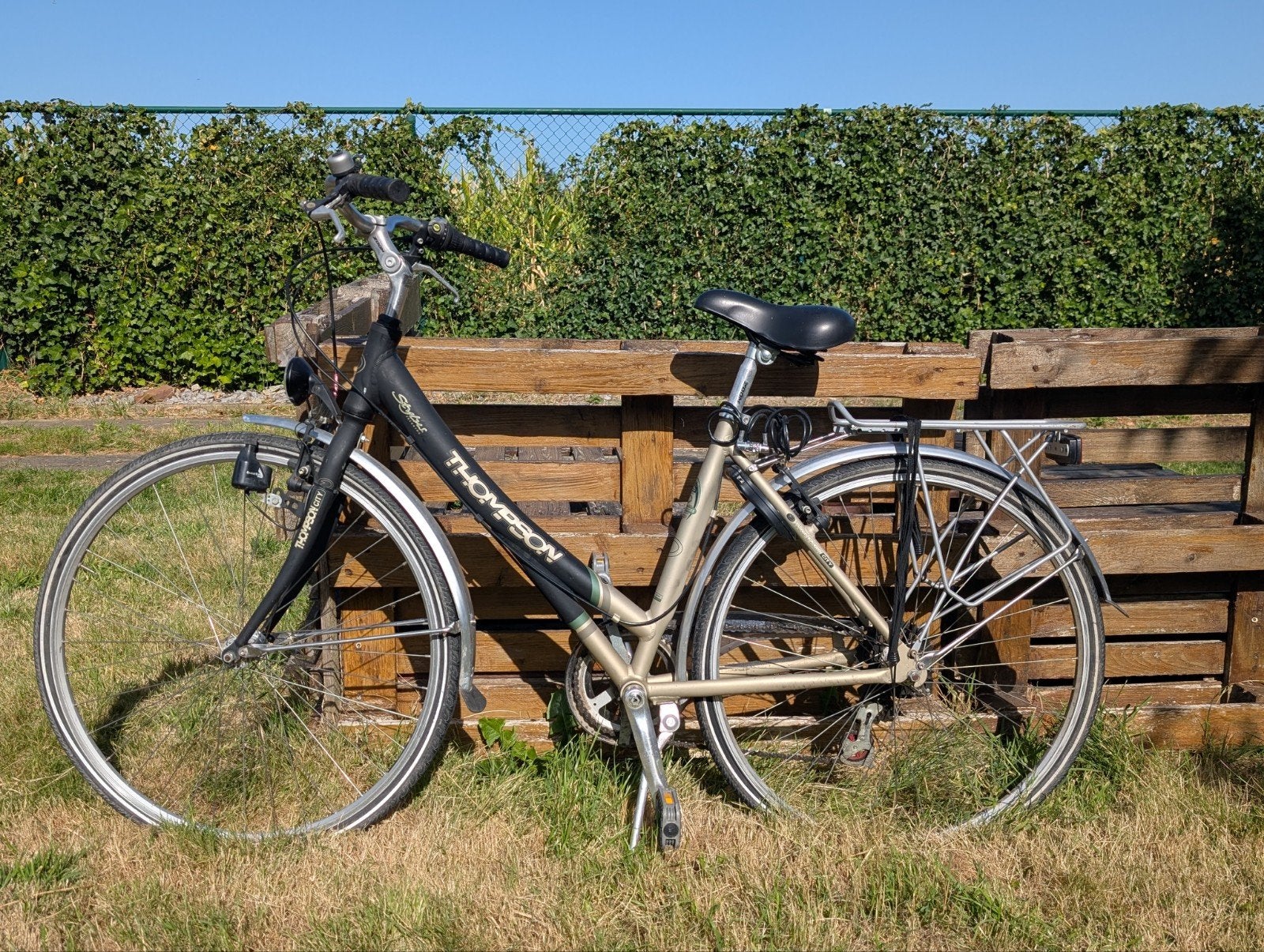 velo de ville dame Thomson, Enlèvement, Utilisé