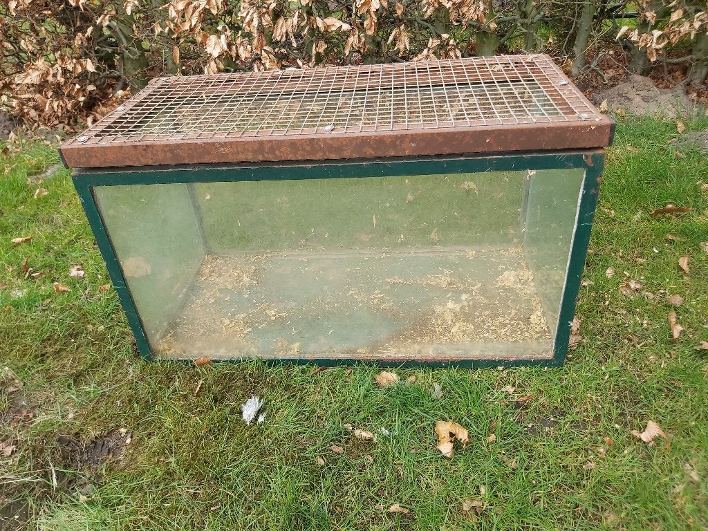 hok, Niche, Utilisé, Moins de 60 cm, Cobaye
