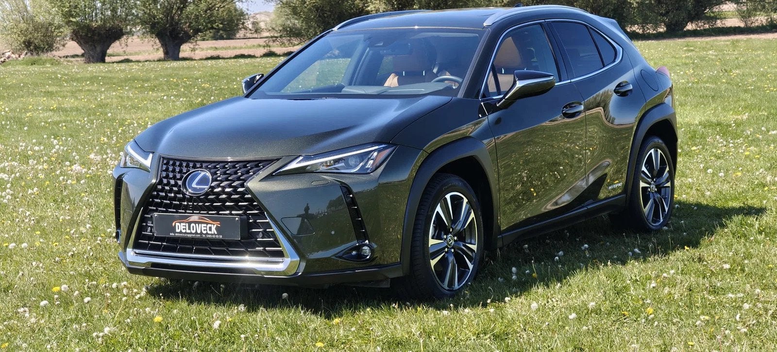 Lexus UX 250H Ux Crossover 2.0 Hybride 2WD e-CVT Executive L, Autos, Lexus, Cuir, Achat, https://public.car-pass.be/vhr/ce955755-f70c-4a1c-95ae-bcad5b3e4dd0