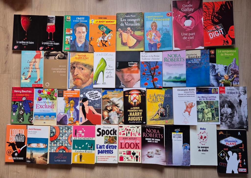 Lot: boeken, romans, portemonnees, jeugd, persoonlijke ontwi, Boeken