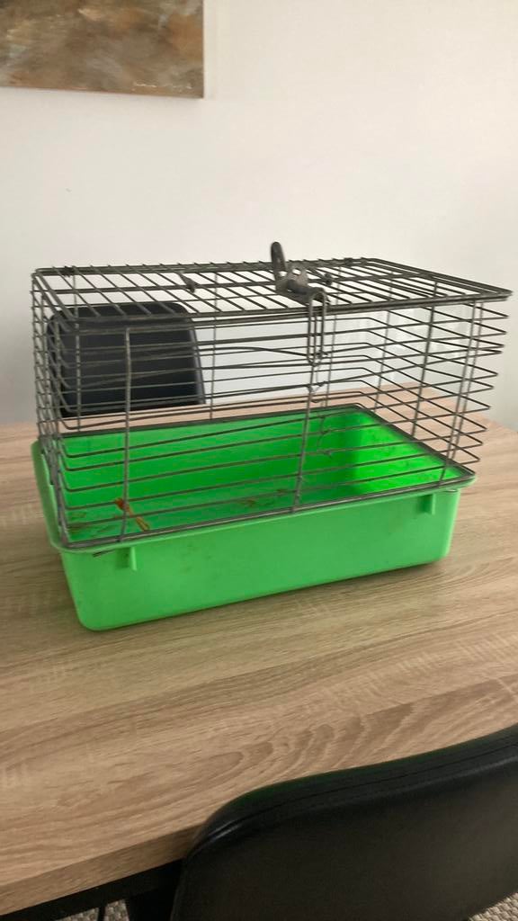 Dierenhokje draagbaar, Gebruikt, Minder dan 75 cm, Hamster, Reiskooi of Transportbox