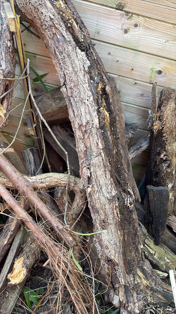 Gratis hout, Tuin en Terras, Ophalen