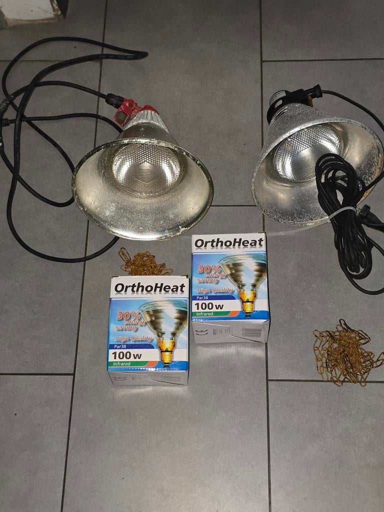 warmtlamp
