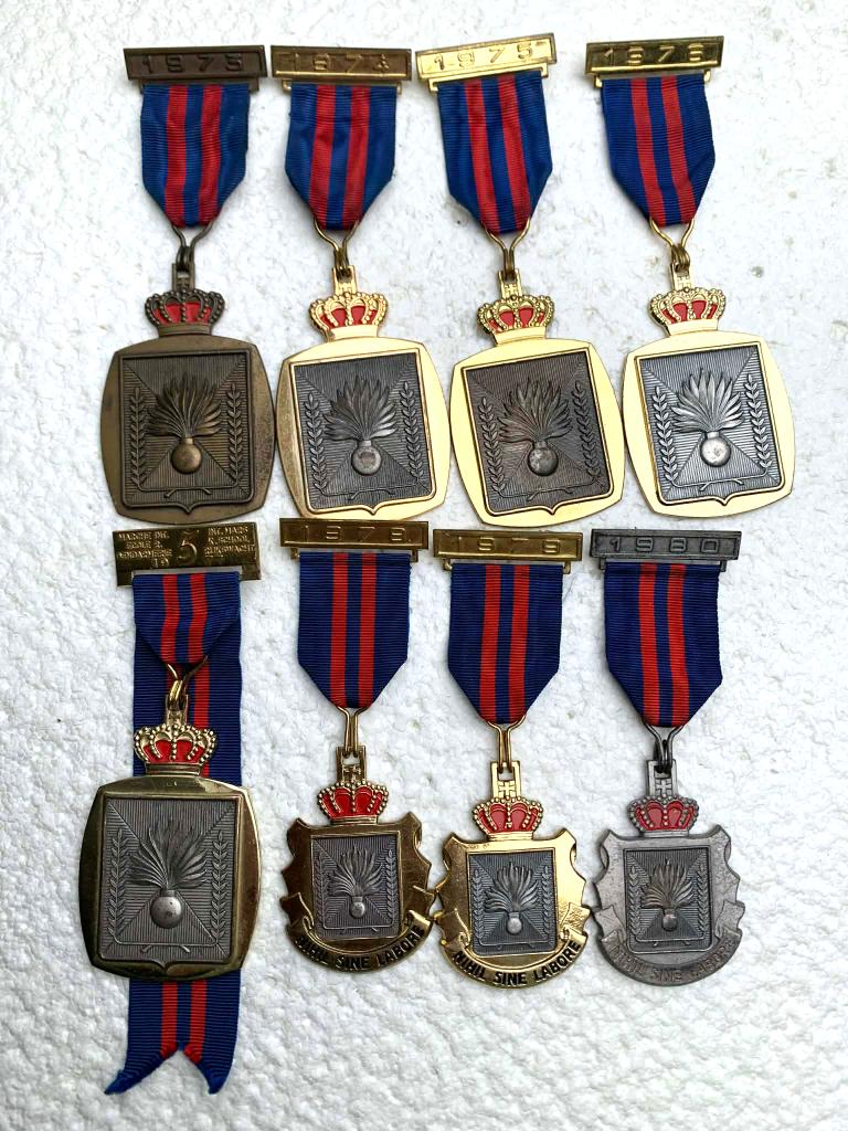 Medailles, LOT 8x Rijkswacht medailles van 1973 tot 1980, Enlèvement ou Envoi, Gendarmerie, Ruban, Médaille ou Ailes