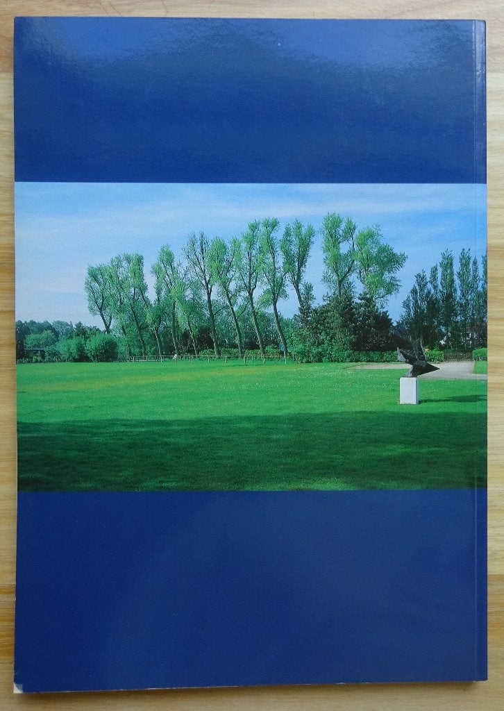 Catalogus Museum Dhondt-Dhaenens Deurle, 1996 Piet Boyens, Piet Boyens, Ophalen of Verzenden, Zo goed als nieuw, Schilder- en Tekenkunst