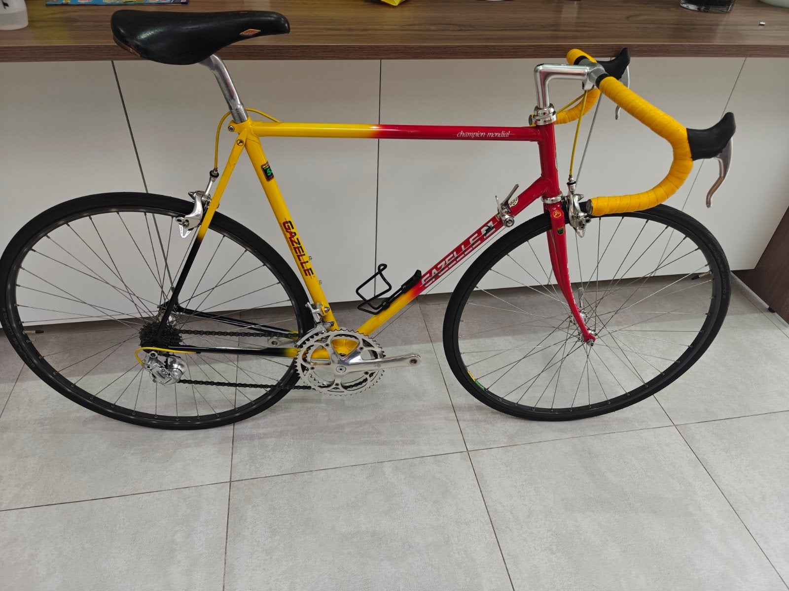 Vélo de route Gazelle Champion Mondial avec Campagnolo Zgan, Enlèvement, Gazelle