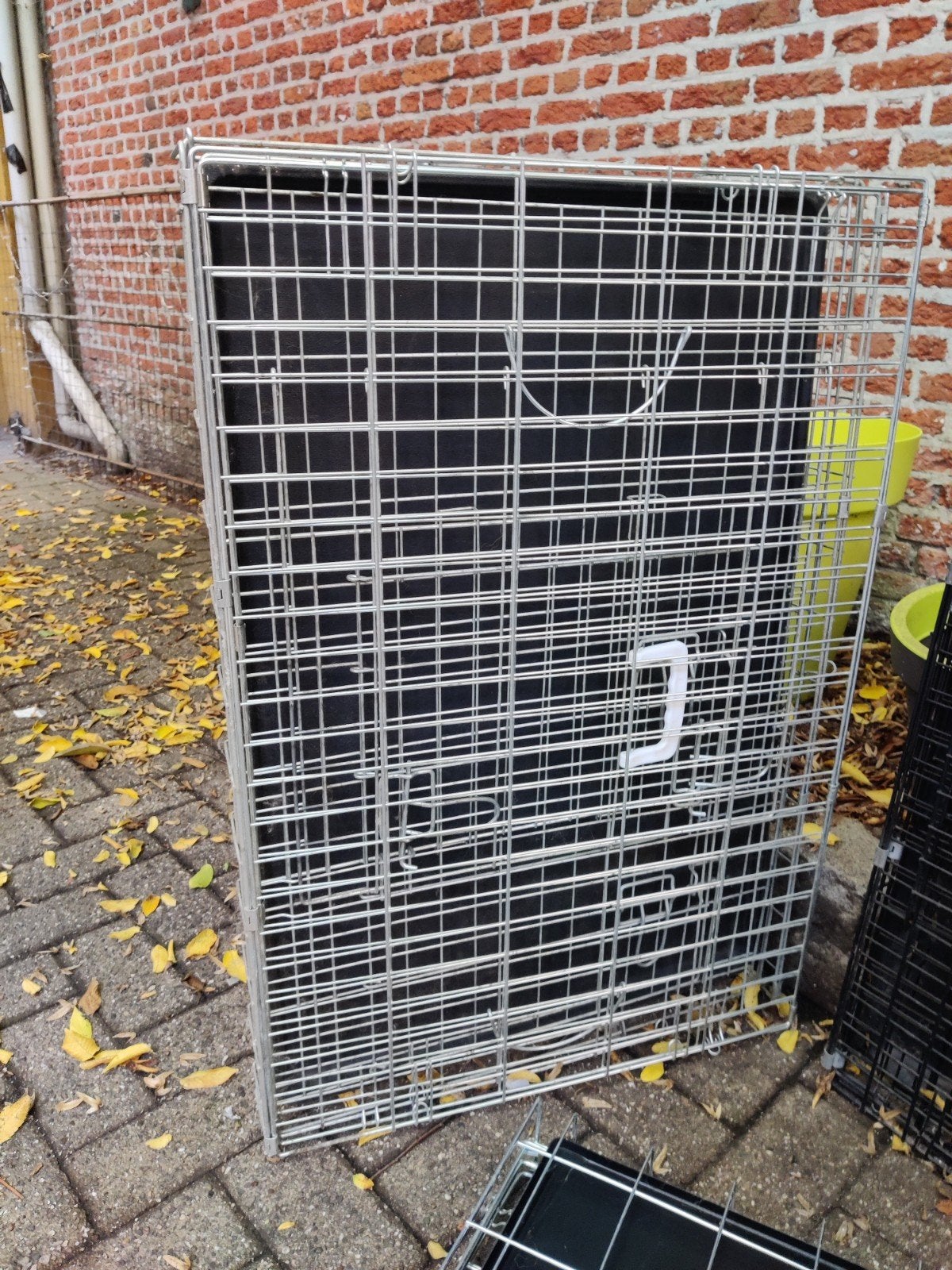bench dier zilverkleurig, Dieren en Toebehoren, Ophalen