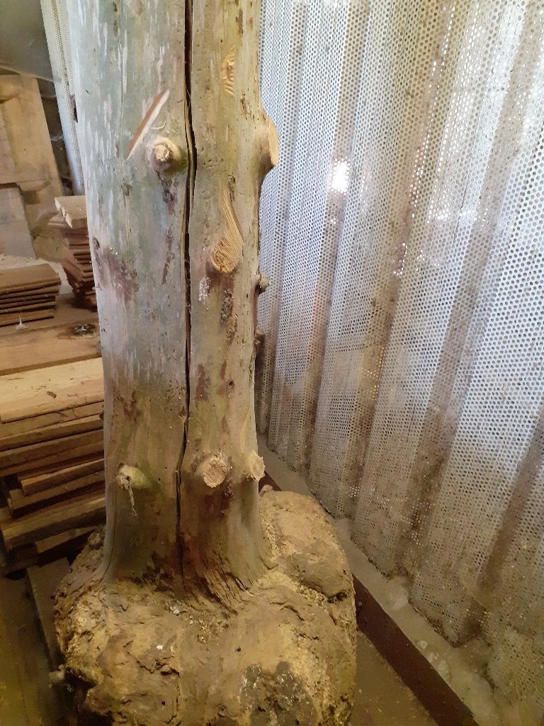 decoratie boomstam, Huis en Inrichting, Woonaccessoires | Overige, Ophalen