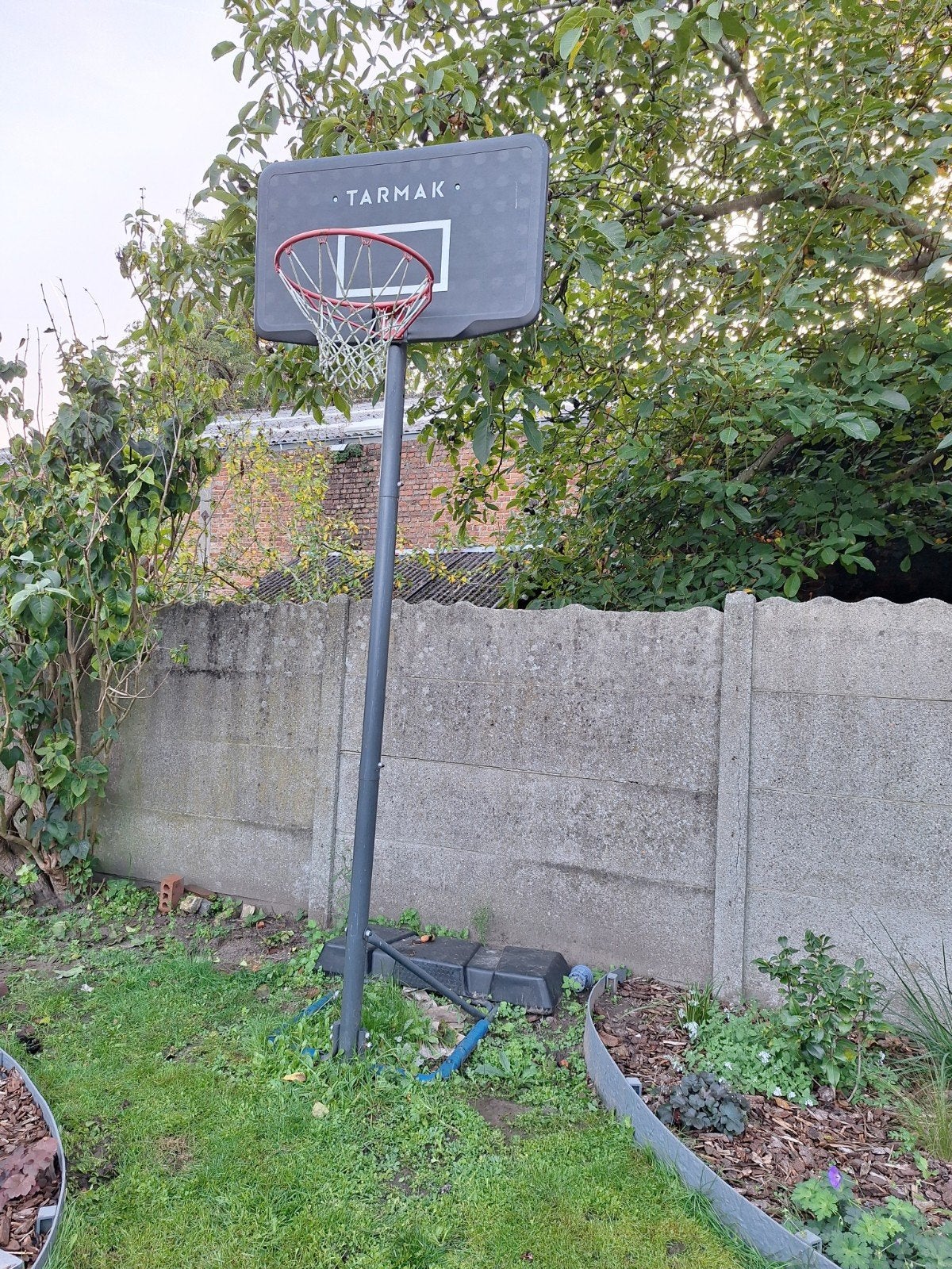basket-ball, Enlèvement