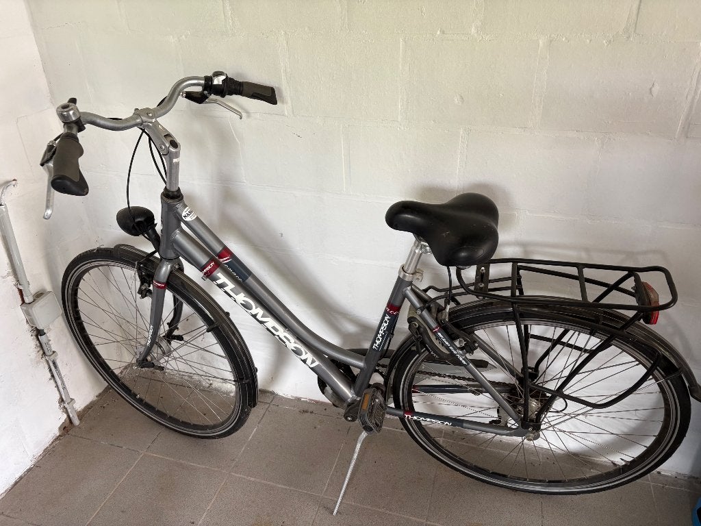 Damesfiets Thompson, Fietsen en Brommers, Gebruikt, Velgrem, Versnellingen, Ophalen