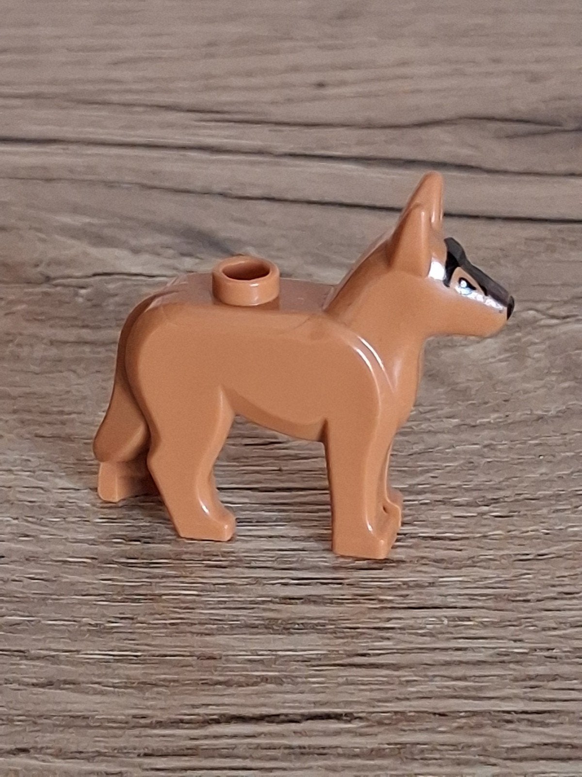 Lego : Berger allemand, Envoi, Lego