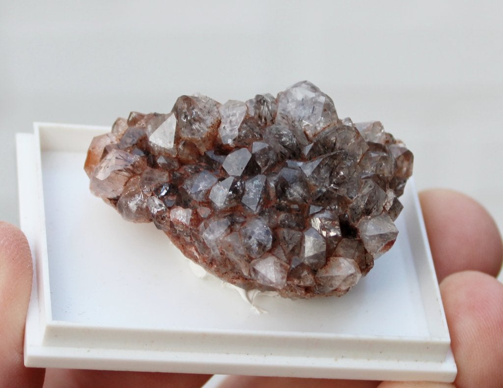 GOETHITE en QUARTZ de CLARA MIJN en ALLEMAGNE, Enlèvement ou Envoi, Minéral