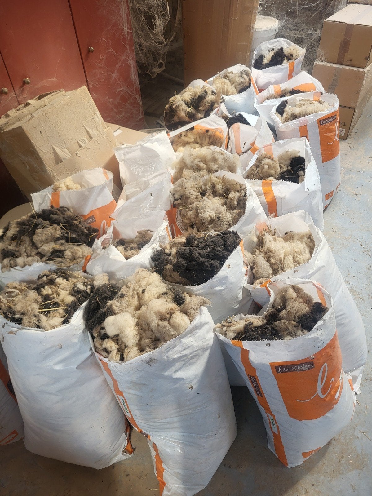 Schapenwol wol van schapen, Dieren en Toebehoren