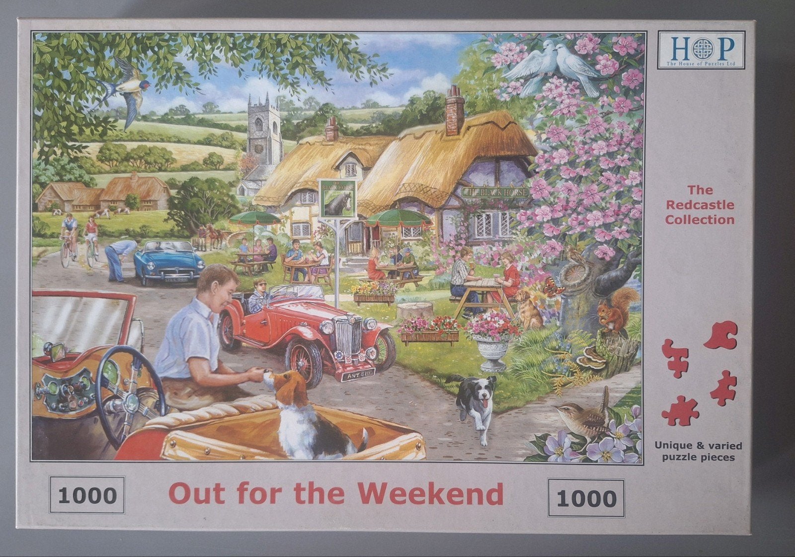 Puzzel 1000 stukjes, Hobby en Vrije tijd, Denksport en Puzzels, Ophalen, 500 t/m 1500 stukjes, Zo goed als nieuw, Legpuzzel