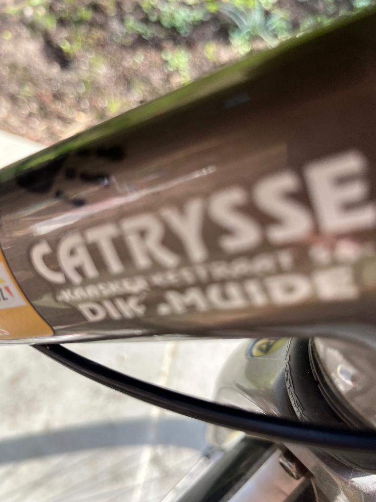 Elektrische fiets (motor later opgeplaatst), Enlèvement, Utilisé, Autres marques