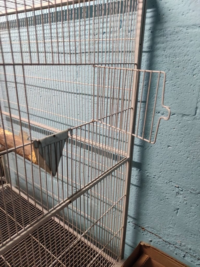 cage, Animaux & Accessoires, Enlèvement, Utilisé, Autres matériaux, Cage à oiseaux