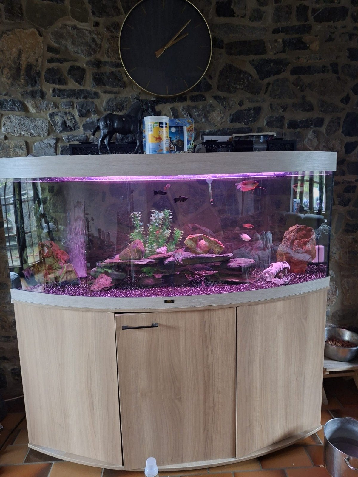 Aquarium 450 L + pompe Jbl, Animaux & Accessoires, Enlèvement, Pompe, JBL