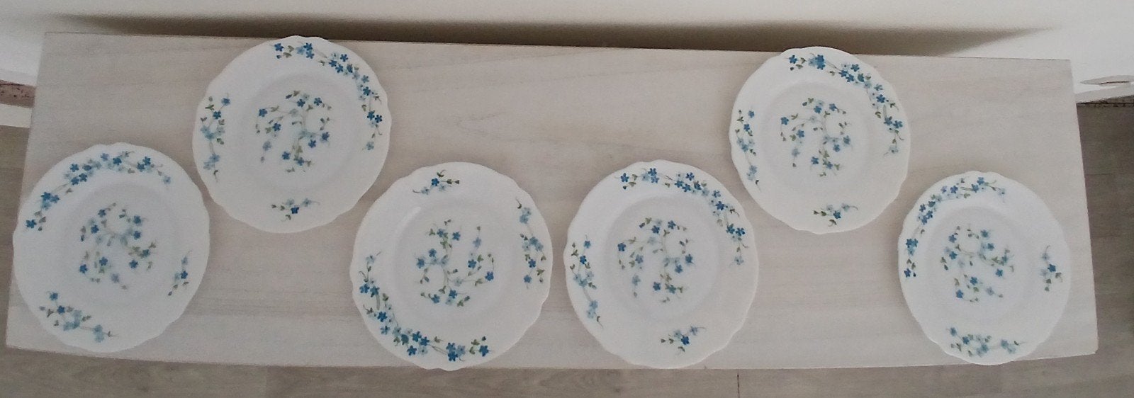 Arcopal Veronica myosotis servies, Enlèvement, Assiettes(s)