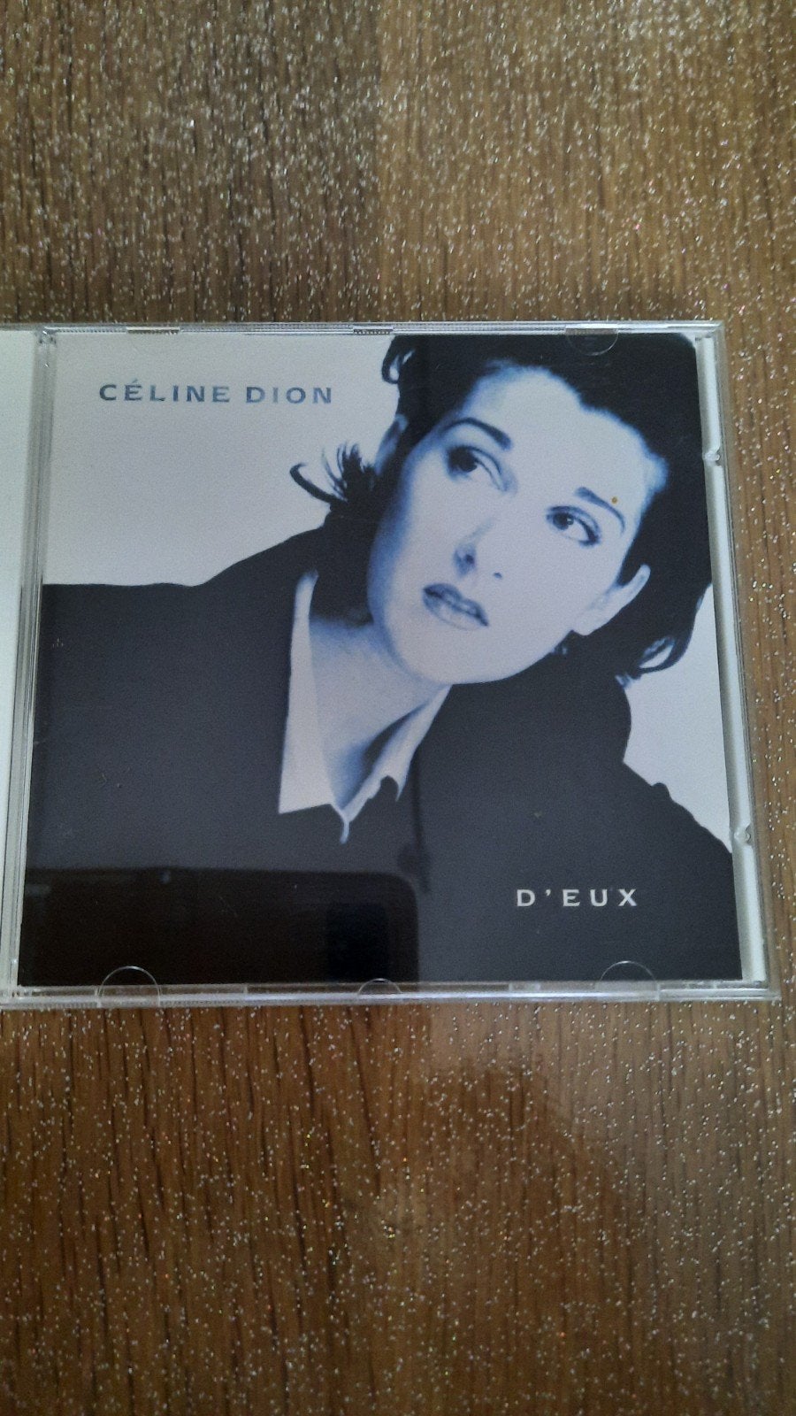 CD Celine Dion, Enlèvement, Chanson