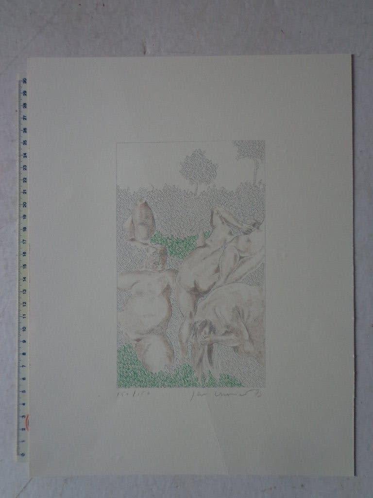 Litho van Jan Vanriet Naakte personen in een haag uit 1973, Ophalen of Verzenden