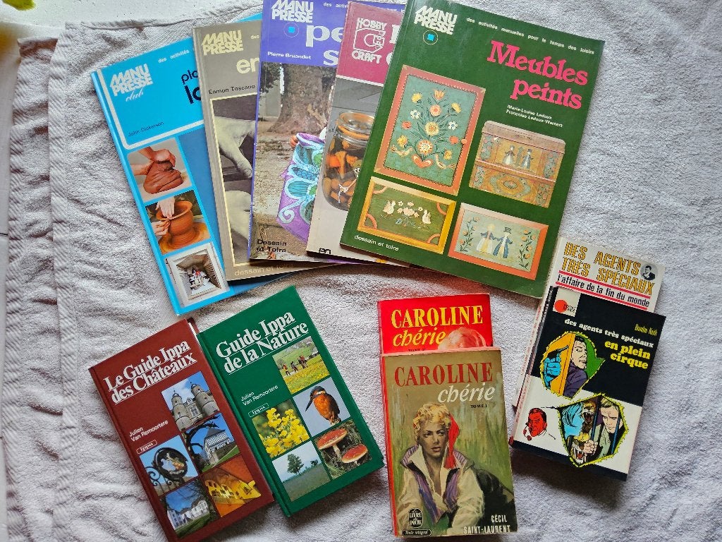 LIVRES romans, tourisme, bricolage prix voir description, Ophalen of Verzenden, Gelezen