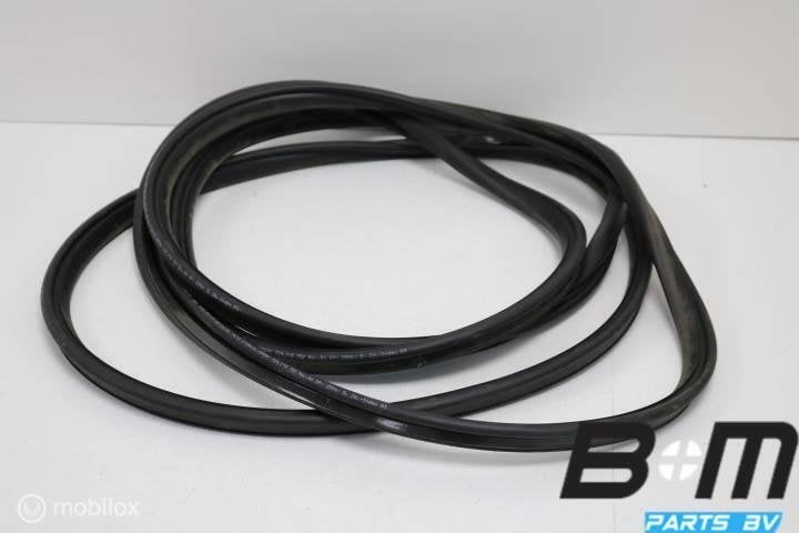 Panoramadakrubber Skoda Superb Combi 3 3G9877459, Gebruikt