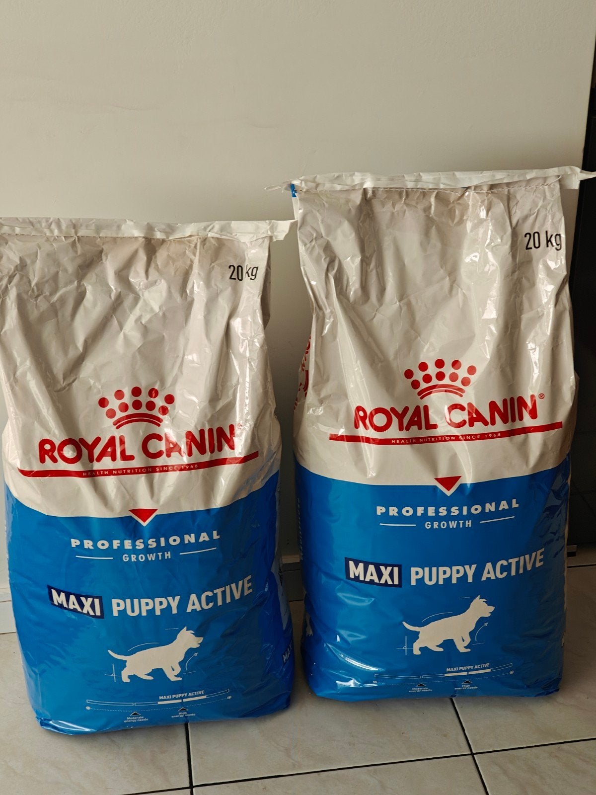 Royal Canin Maxi Puppy Active professional, Animaux & Accessoires, Enlèvement, Chien