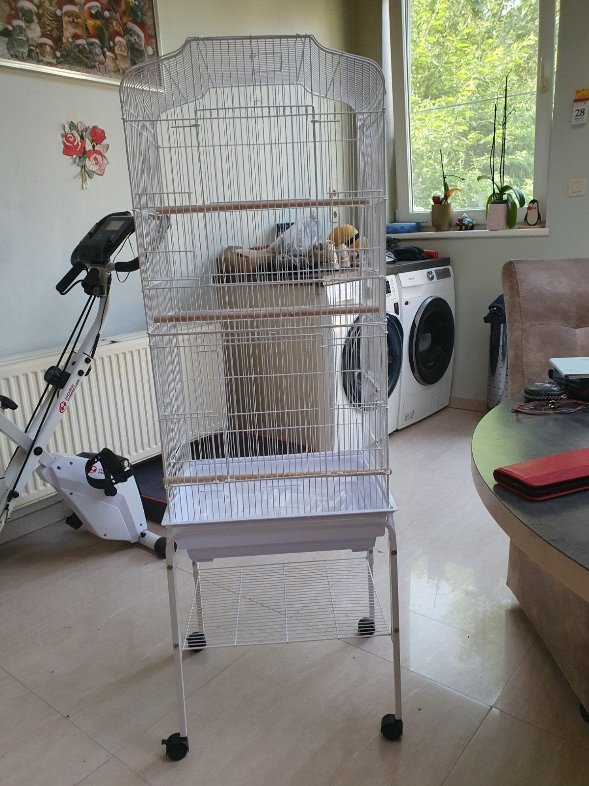Vogelkooi, Enlèvement