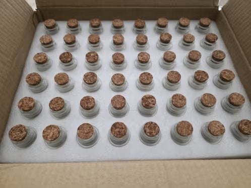 Bouteilles en verre avec bouchons en liège - décoration, Enlèvement ou Envoi