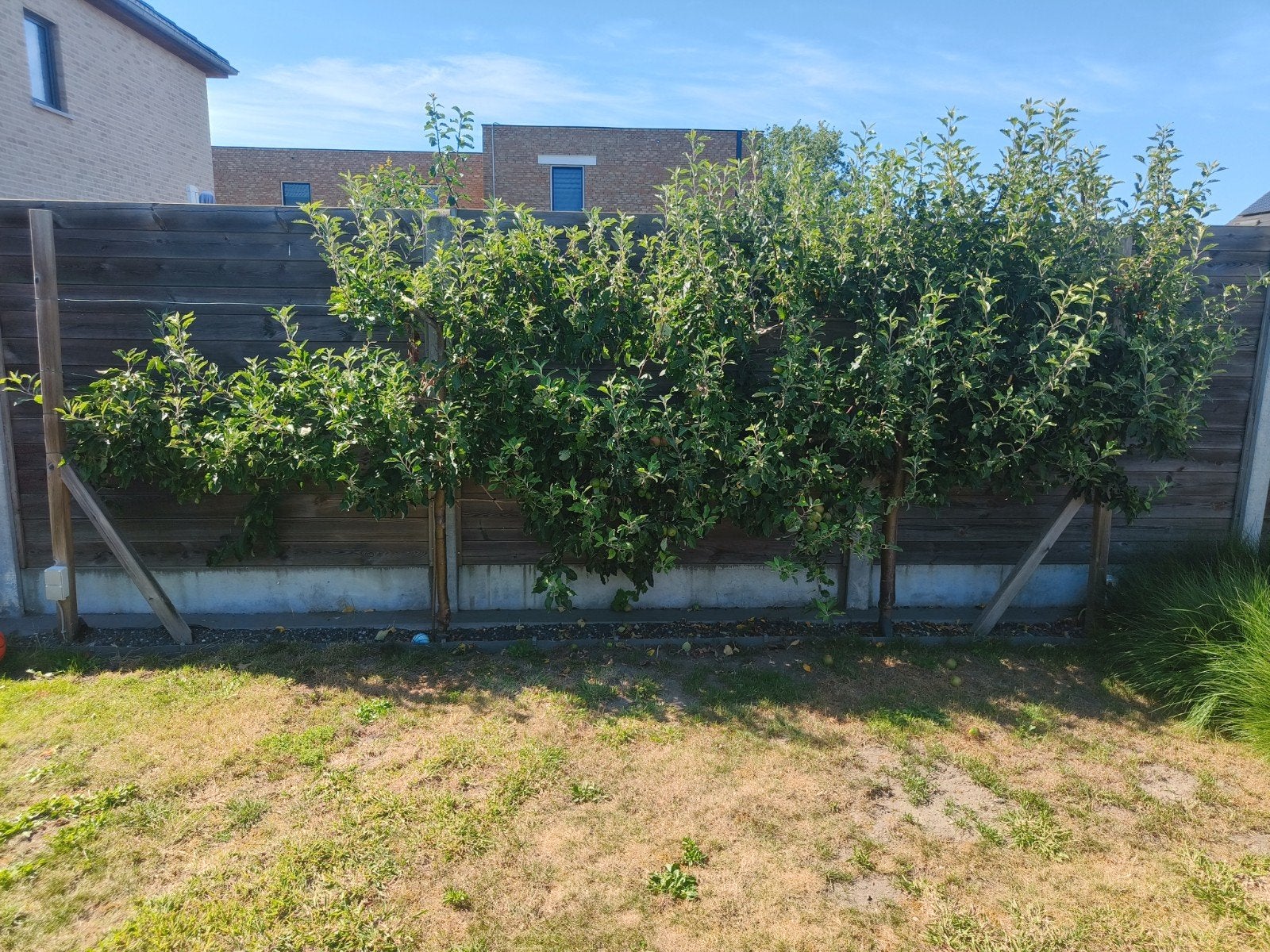 Appelboom, Enlèvement