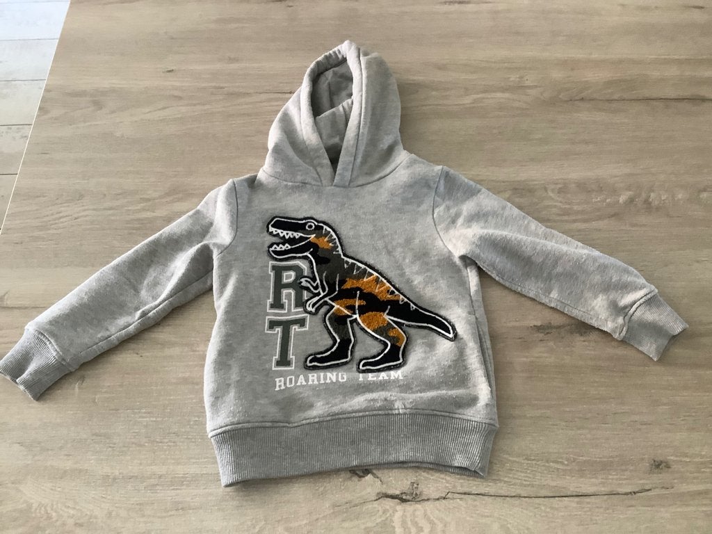 Jongens Hoody met Dinosaurus print (110 cm), Kinderen en Baby's, Kinderkleding | Maat 110, C&A, Jongen of Meisje, Trui of Vest