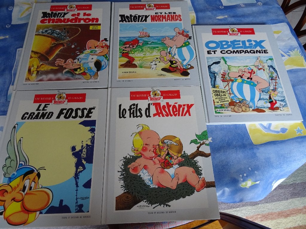 BD Astérix et Obélix _ 12 volumes double France Loisirs, Plusieurs BD, Enlèvement, Comme neuf, Goscinny & Uderzo
