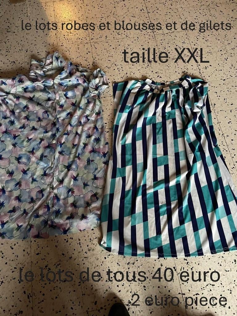 je vend 2 euro piece ou 40 euro le lots robes + blouses, Ophalen, Overige kleuren, Maat 46/48 (XL) of groter, Zo goed als nieuw