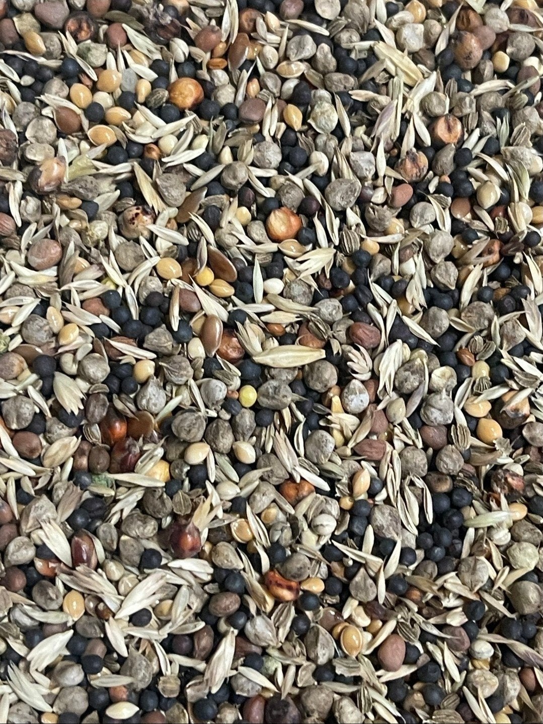 5911 Health Seed Extra, 1 kg, Bird Supreme Excellent, Animaux & Accessoires, Enlèvement