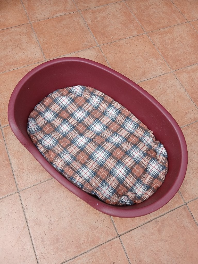 Paniers pour chien, Animaux & Accessoires, Paniers pour chiens, Enlèvement, Utilisé, Autre