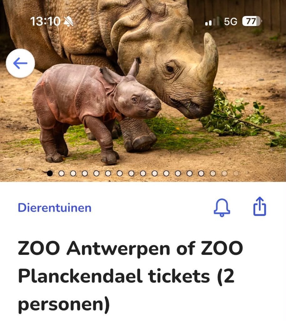 Dierentuin Tickets Antwerpen zoo, Tickets en Kaartjes, Drie personen of meer, Ticket of Toegangskaart