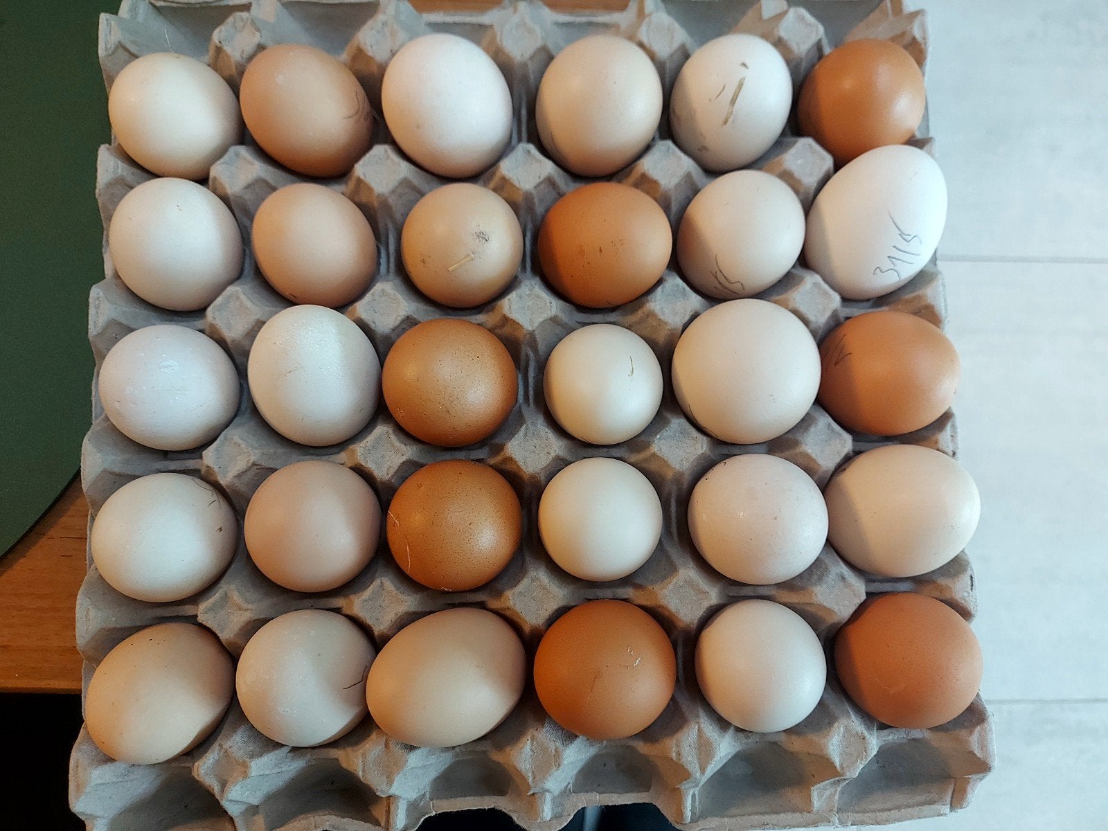 Verse eitjes van kippen met vrije uitloop
