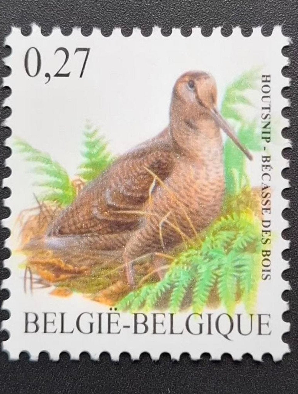 België: OBP 3898 ** Vogels 2009., Postzegels en Munten, Postzegels | Europa | België, Frankeerzegel, Ophalen of Verzenden, Zonder stempel
