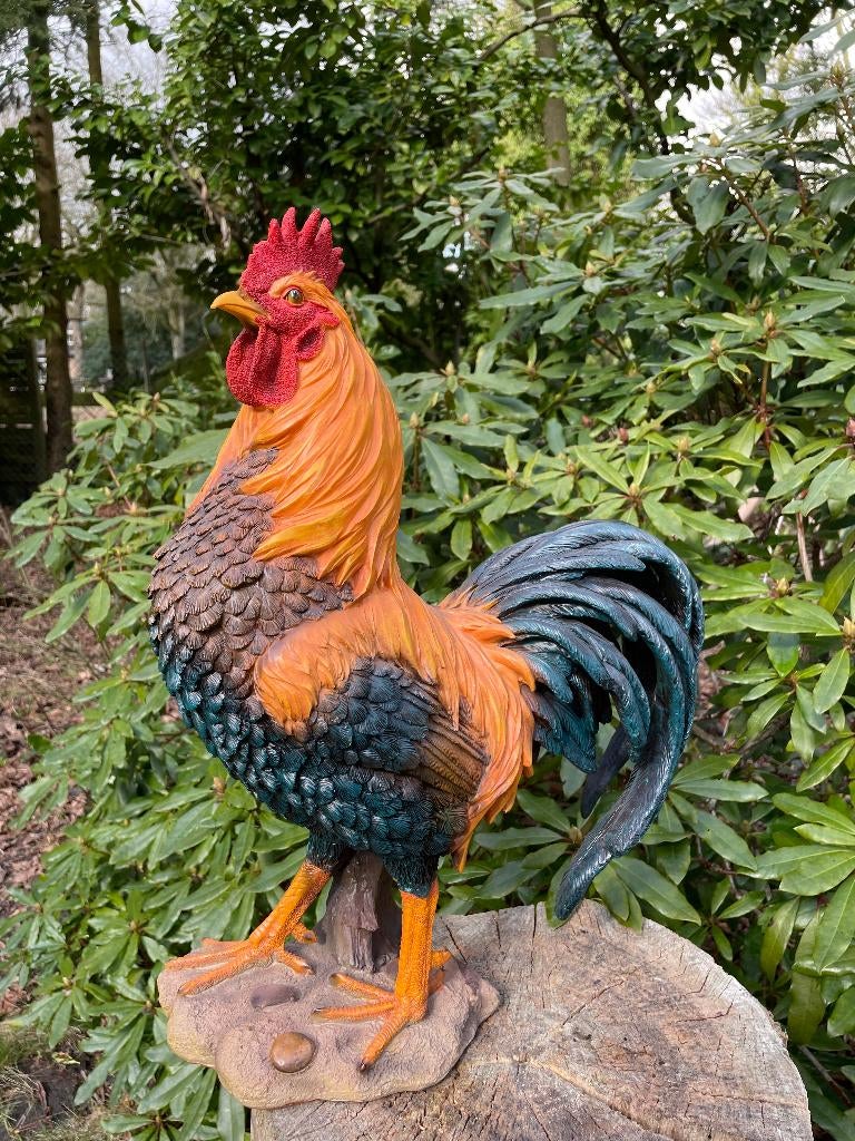 Beeld Haan, tuin, vijver, gazon, boerderij 50cm, Tuin en Terras, Tuinbeelden, Ophalen, Nieuw, Kunststof, Dierenbeeld