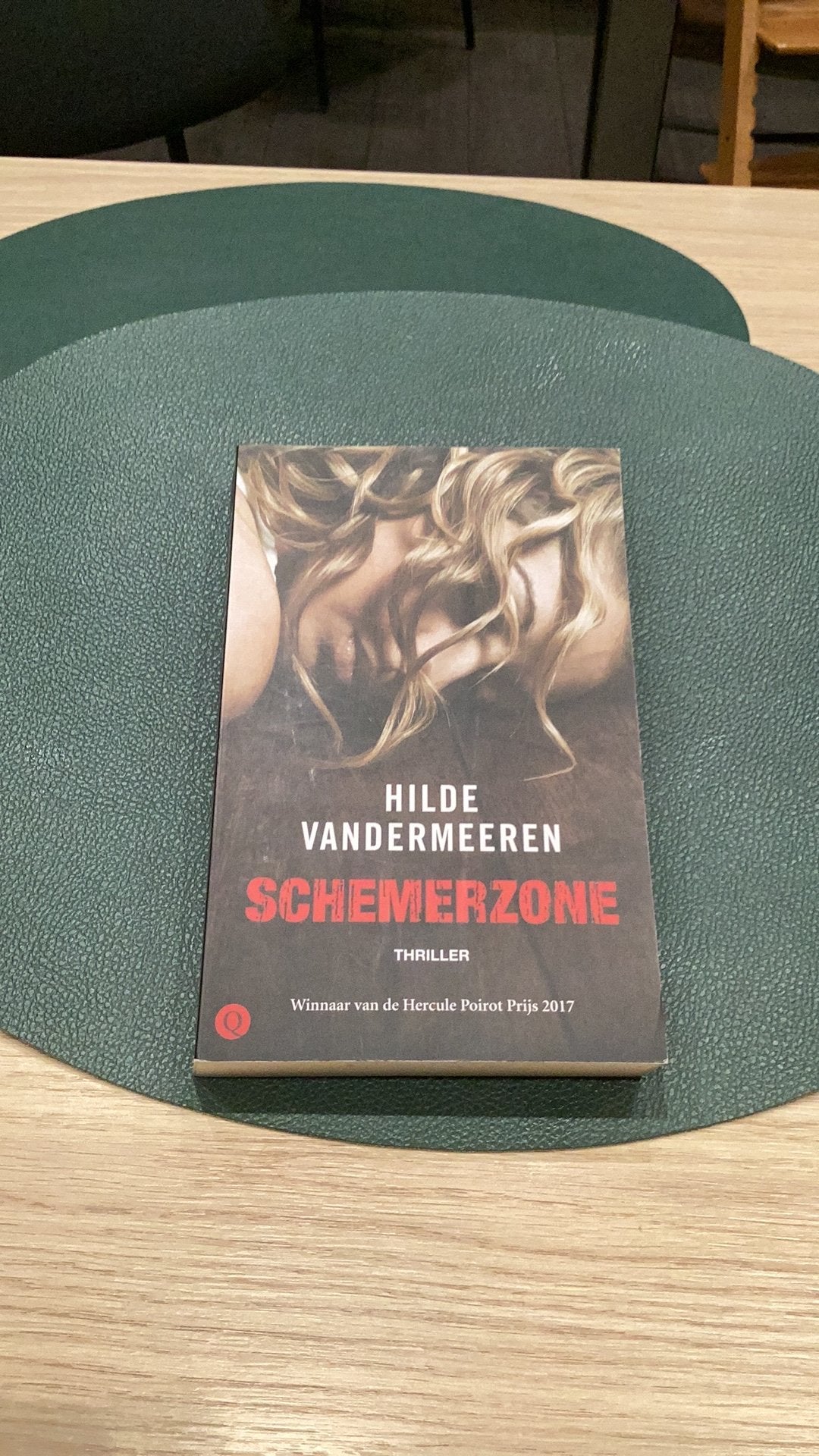 Hilde Vandermeeren - Schemerzone, Ophalen of Verzenden, Hilde Vandermeeren